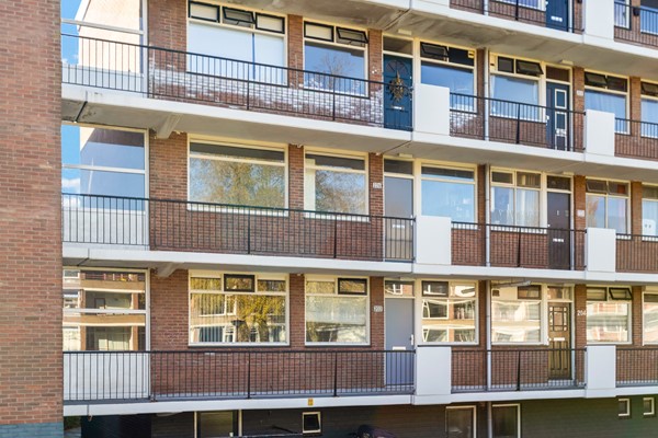 Staringlaan 226-3.jpg